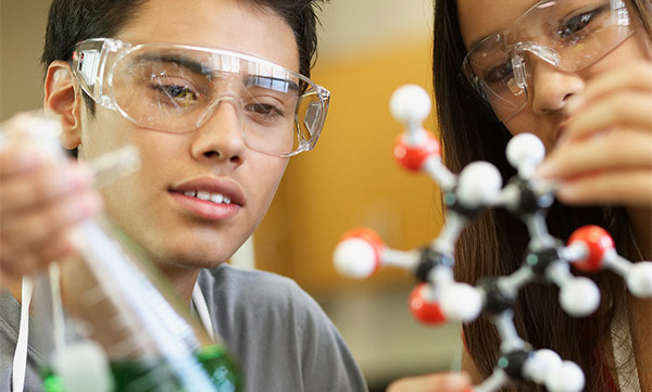 Louisiana State University of Alexandria - NSF S-STEM Scholarship Louisiana State University of Alexandria - NSF S-STEM Scholarship